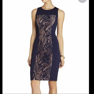 Leona Lace Dress With Contrast Ponte